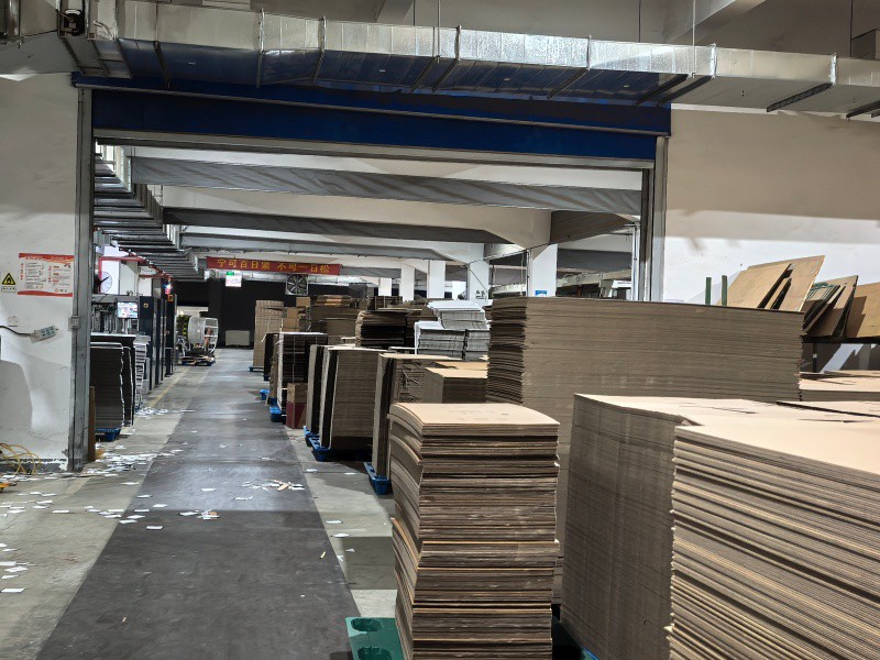 IMG20251117165557 IMG20251117165557